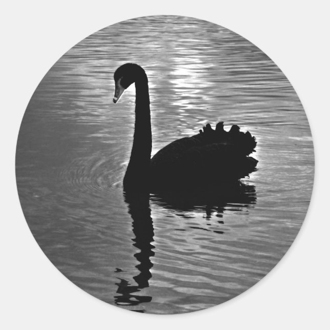 Black Swan - Australian Native Animal Classic Round Sticker (Front)