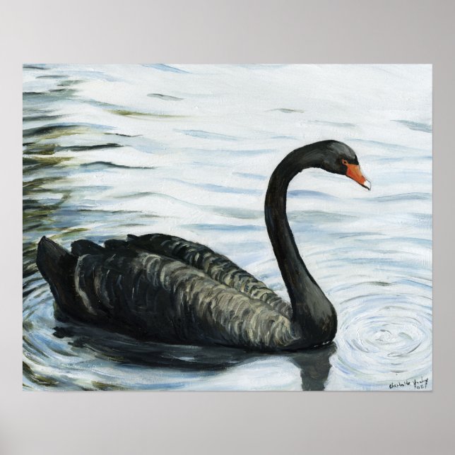 "Black Swan" Bird Art Print (Front)