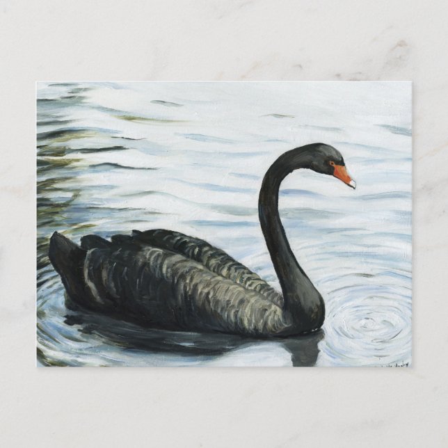 "Black Swan" Bird Art Reproduction Postcard (Front)