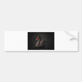 Black Swan Bumper Sticker