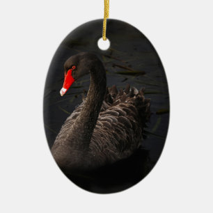 Black Swan Ceramic Tree Decoration
