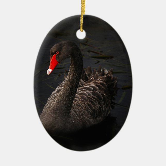 Black Swan Ceramic Tree Decoration (Front)