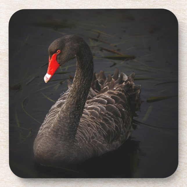 Black Swan Coaster (Front)
