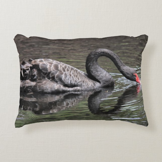 Black Swan Decorative Cushion (Front)
