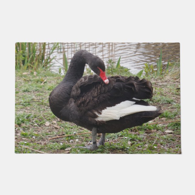 Black Swan Door Mat (Front)