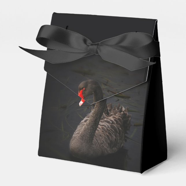 Black Swan Favour Box (Front Side)