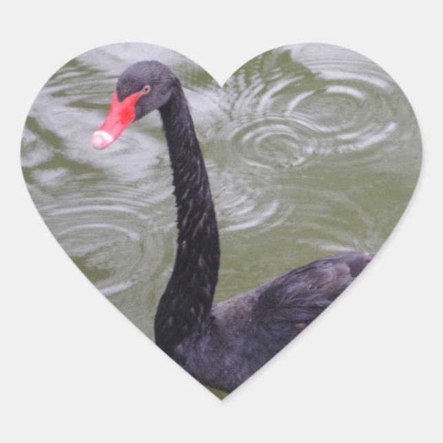 Black Swan Heart Sticker (Front)