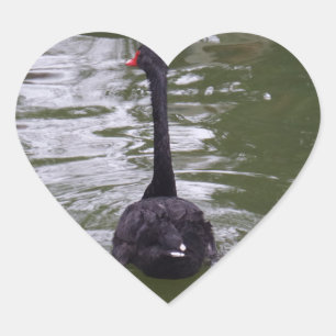 Black Swan Heart Sticker