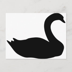 black swan icon postcard