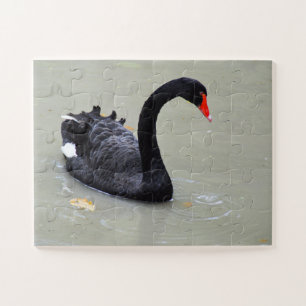 Black swan jigsaw puzzle