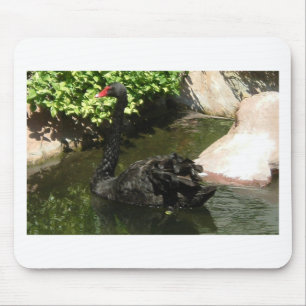 Black Swan Mouse Mat