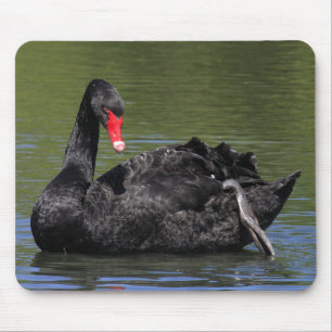 Black Swan Mouse Mat