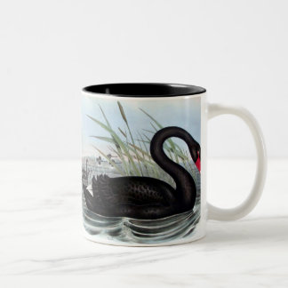 BLACK SWAN MUG