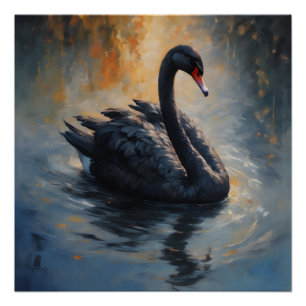 Black Swan no 7 Glossy Poster