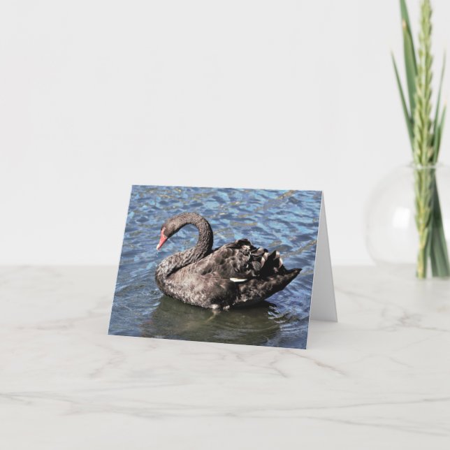 Black Swan Photo Folded Note Card (Front)