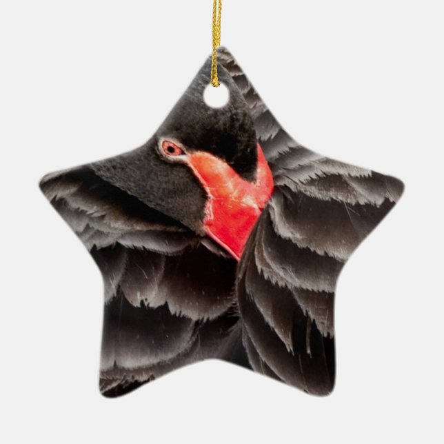 Black swan resting ceramic tree decoration (Front)