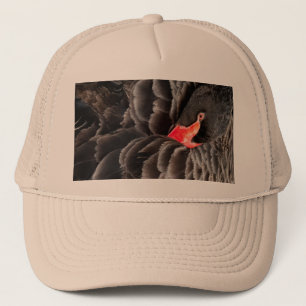 Black swan resting trucker hat