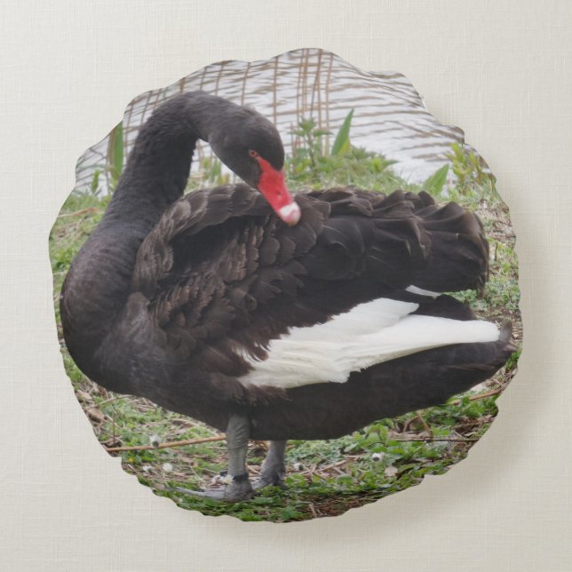 Black Swan Round Pillow (Back)