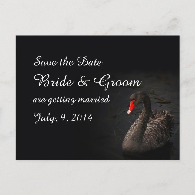 Black Swan Save the Date Postcard (Front)