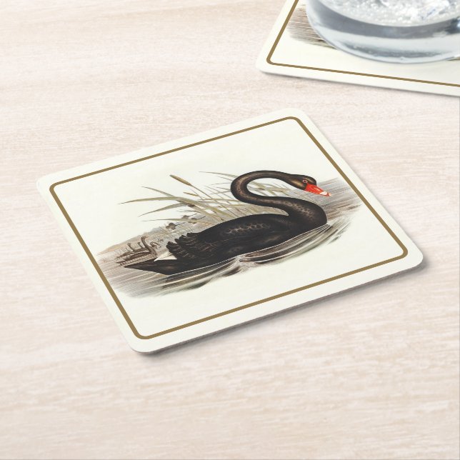 Black Swan  Square Paper Coaster (Angled)