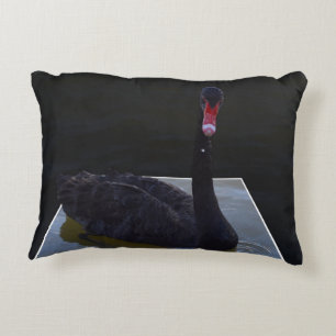 Black Swan Swimming In Dimensional Pond, Decorative Cushion
