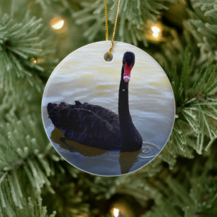 Black Swan Swimming On The River, Ceramic Tree Decoration