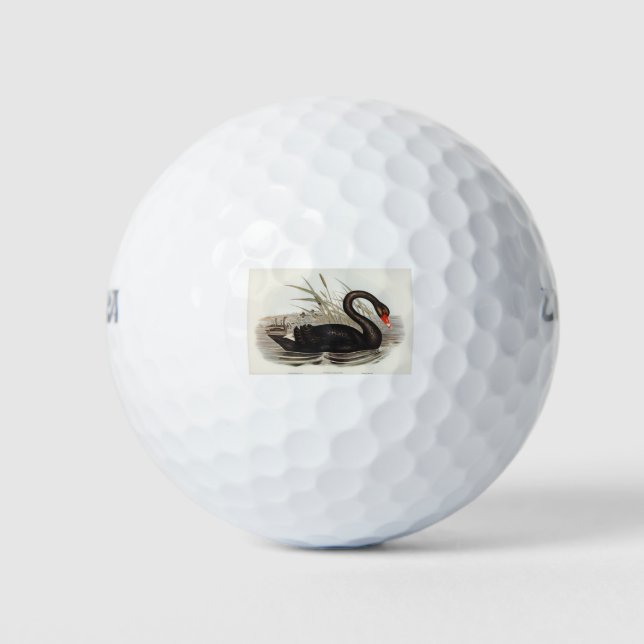 Black Swan Vintage Golf Balls (Front)