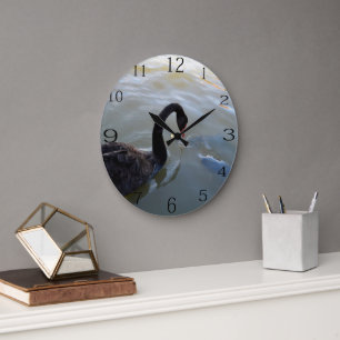Black Swan Watching Giant Fish In River, Large Clock