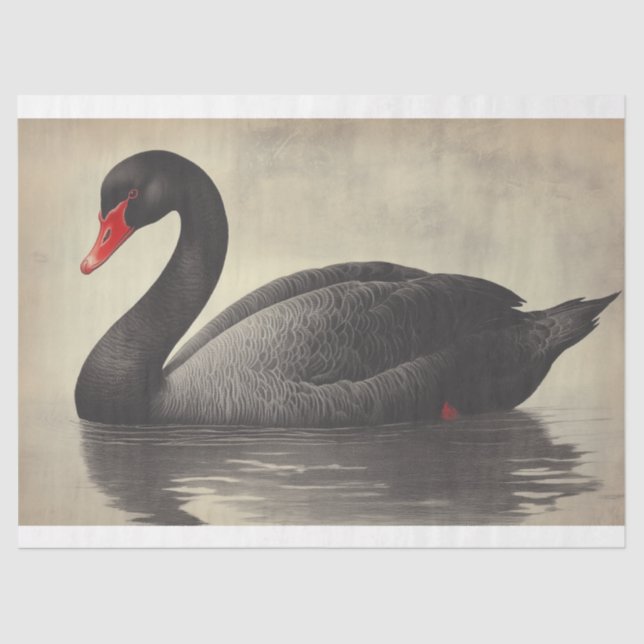 Black Swan Watercolor Decoupage Bird Illustration Tissue Paper (Front)