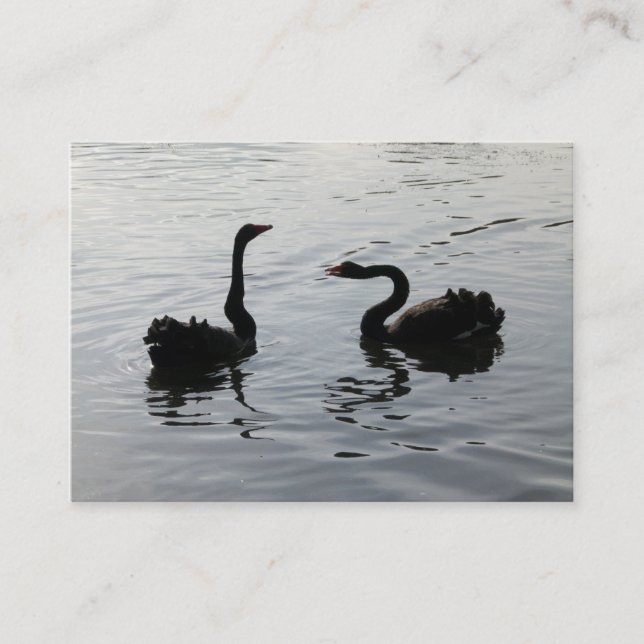 Black Swans Greeting Business Card (Front)
