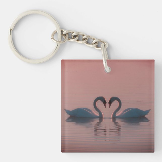 Black Swans Must Be Love Pink Sky Key Ring (Front)