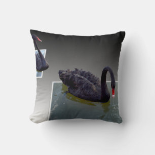 Black Swans Swimming In Dimensional Ponds, Cushion