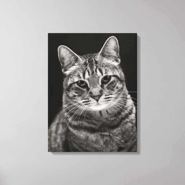 Black Tabby Kitten Canvas Print (Front)