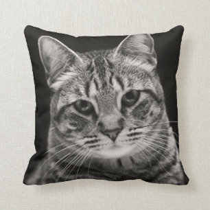 Black Tabby Kitten Cushion