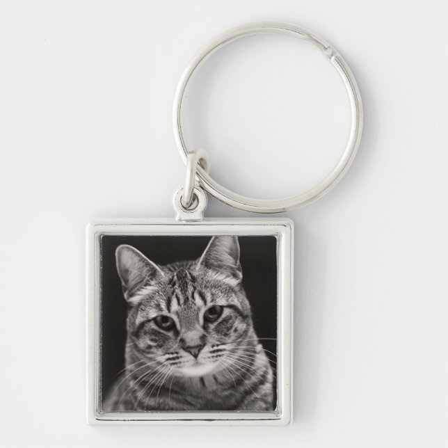 Black Tabby Kitten Key Ring (Front)