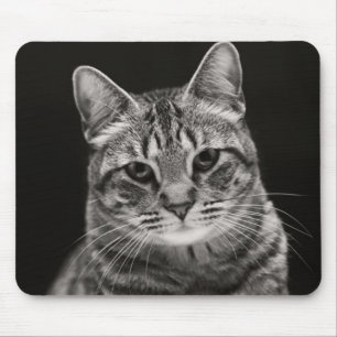 Black Tabby Kitten Mouse Mat