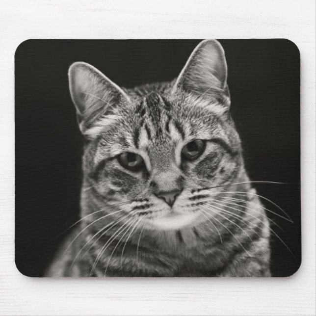 Black Tabby Kitten Mouse Mat (Front)