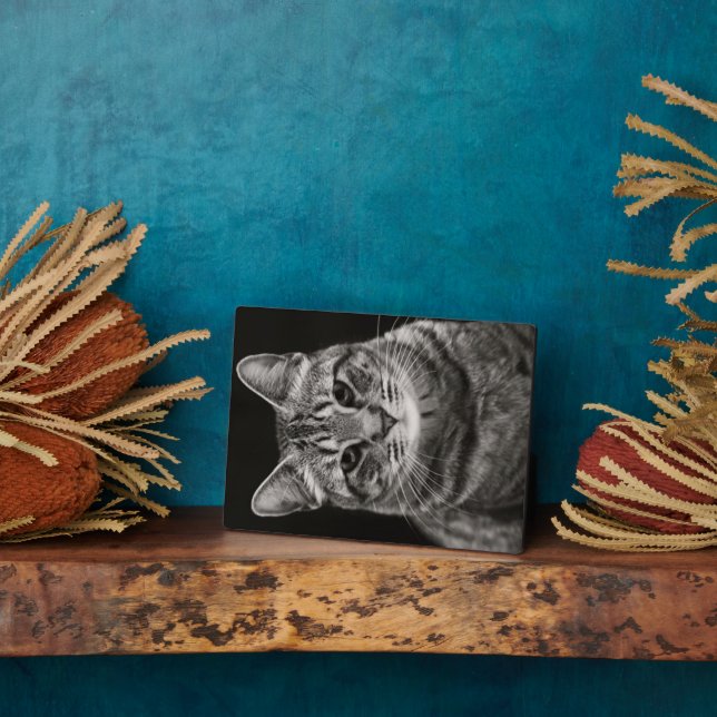 Black Tabby Kitten Plaque (Side)