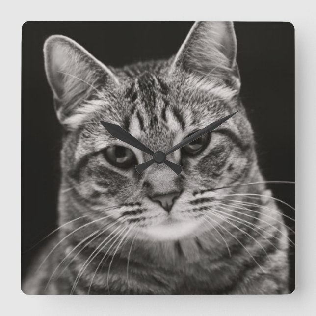 Black Tabby Kitten Square Wall Clock (Front)