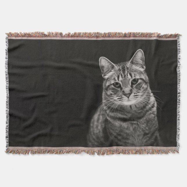 Black Tabby Kitten Throw Blanket (Front)