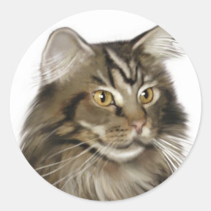 Black Tabby Maine Coon Cat Classic Round Sticker