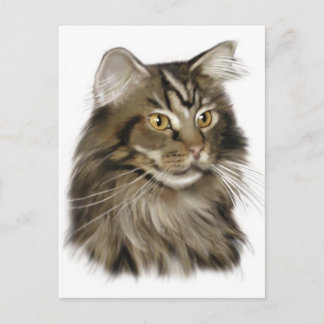 Black Tabby Maine Coon Cat Postcard