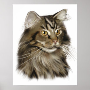 Black Tabby Maine Coon Cat Poster