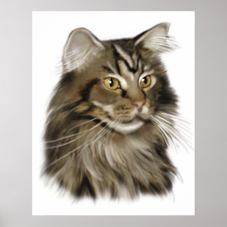Black Tabby Maine Coon Cat Poster