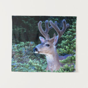 Black-tail Deer   Olympic National Park Tapestry