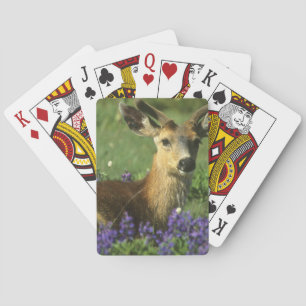 Black-tailed Deer, Odocoileus hemionus Playing Cards