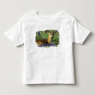 Black-tailed Deer, Odocoileus hemionus Toddler T-Shirt