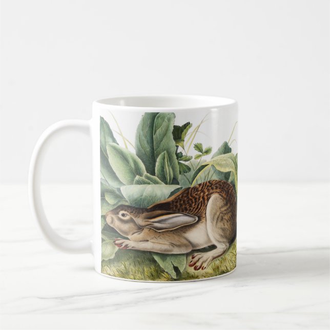 Black-tailed Hare Rabbit (Lepus negricaudatus) Coffee Mug (Left)