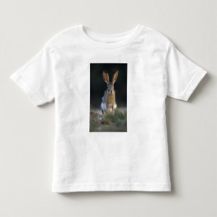 Black-tailed Jackrabbit, Lepus californicus, 2 Toddler T-Shirt