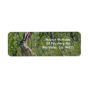 Black-Tailed Jackrabbit Return Address Label